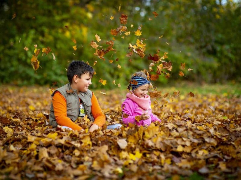 Kids playing in forest with leaves